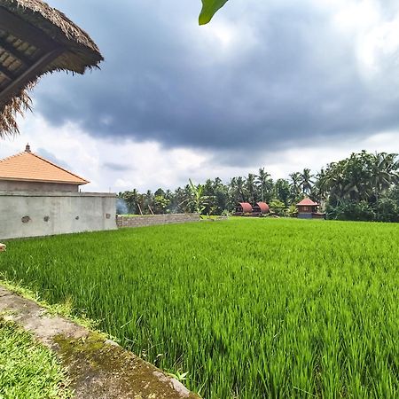 Villa Padi Menari Ubud Exterior foto