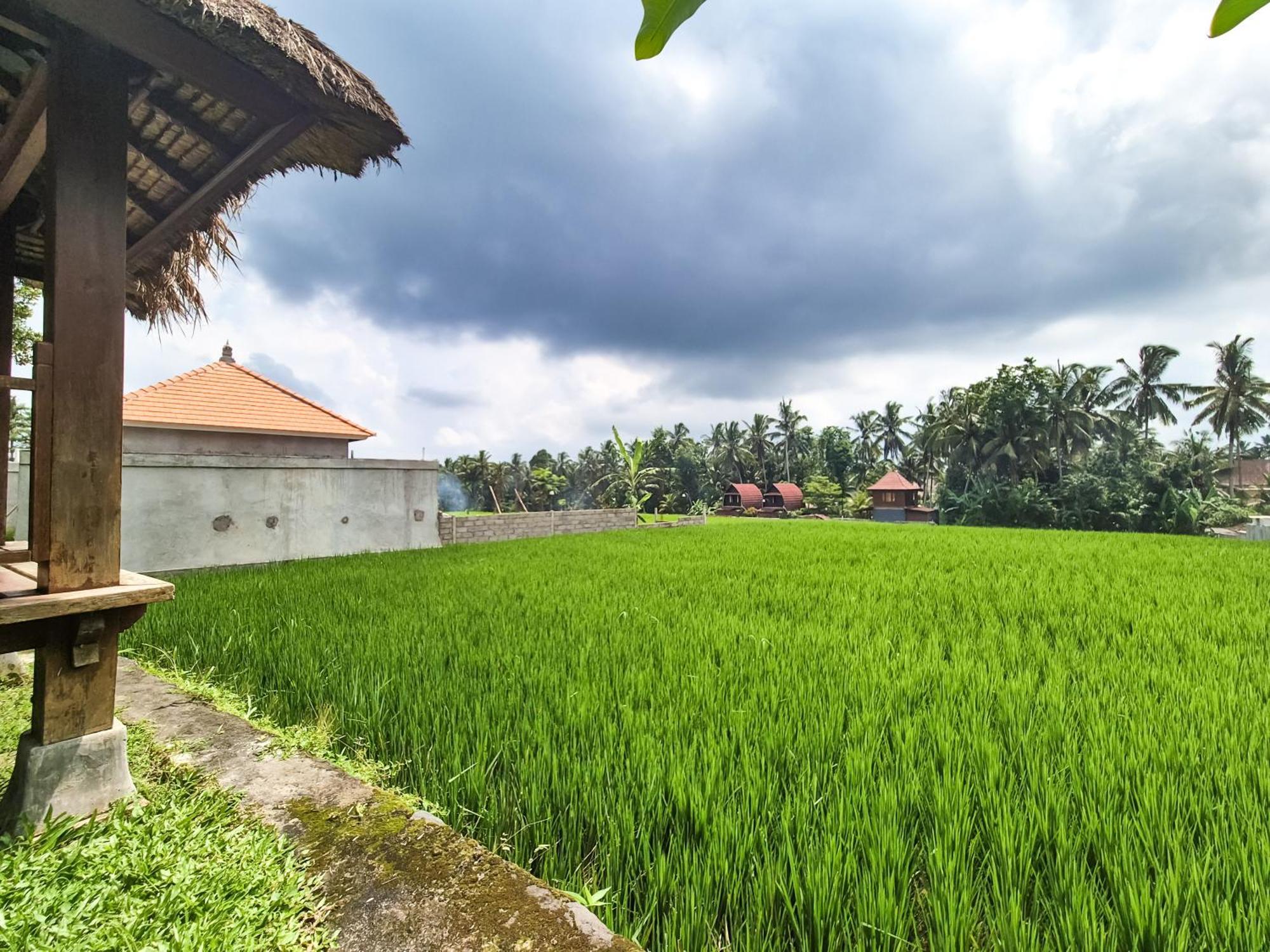 Villa Padi Menari Ubud Exterior foto