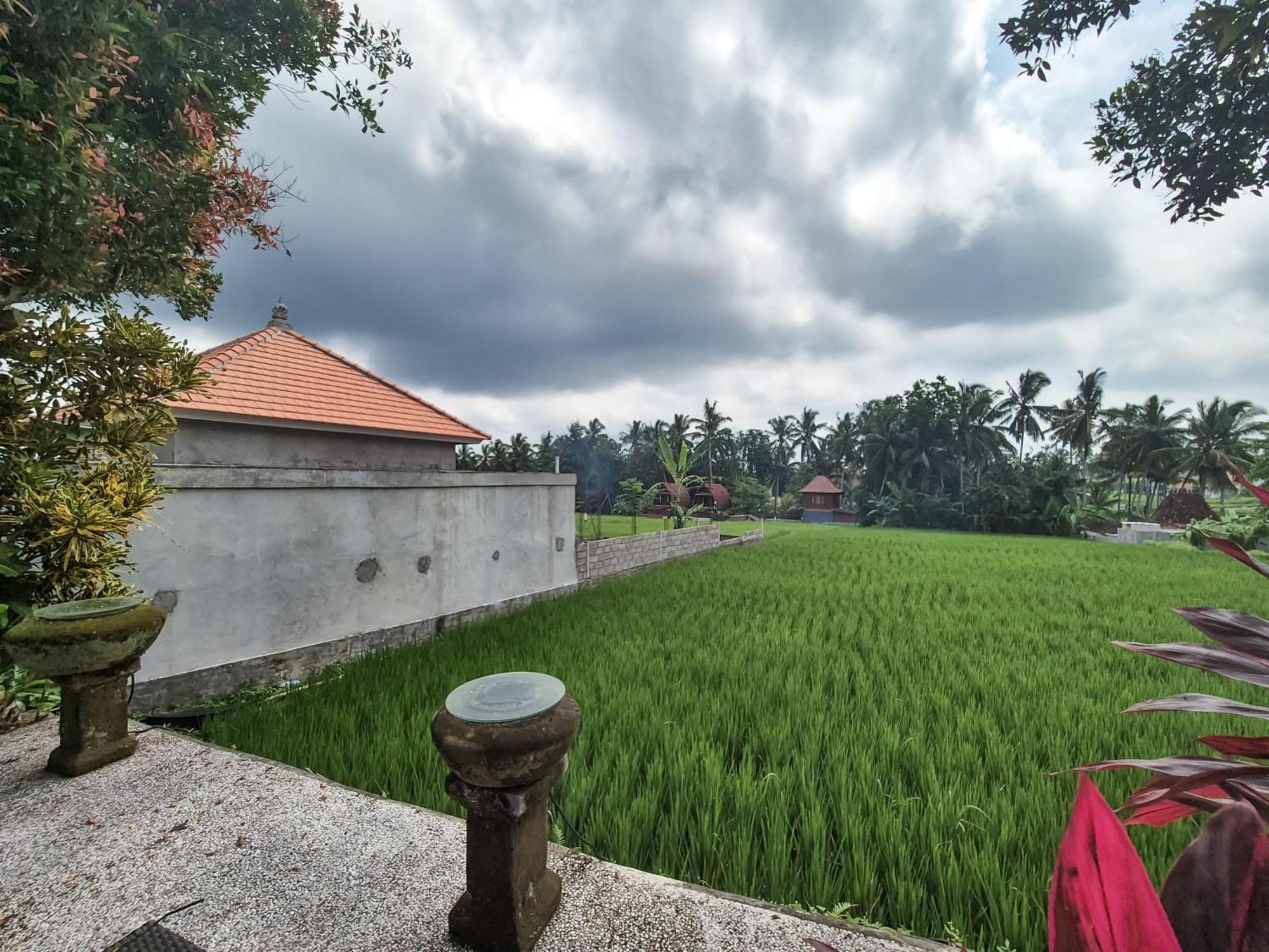 Villa Padi Menari Ubud Exterior foto