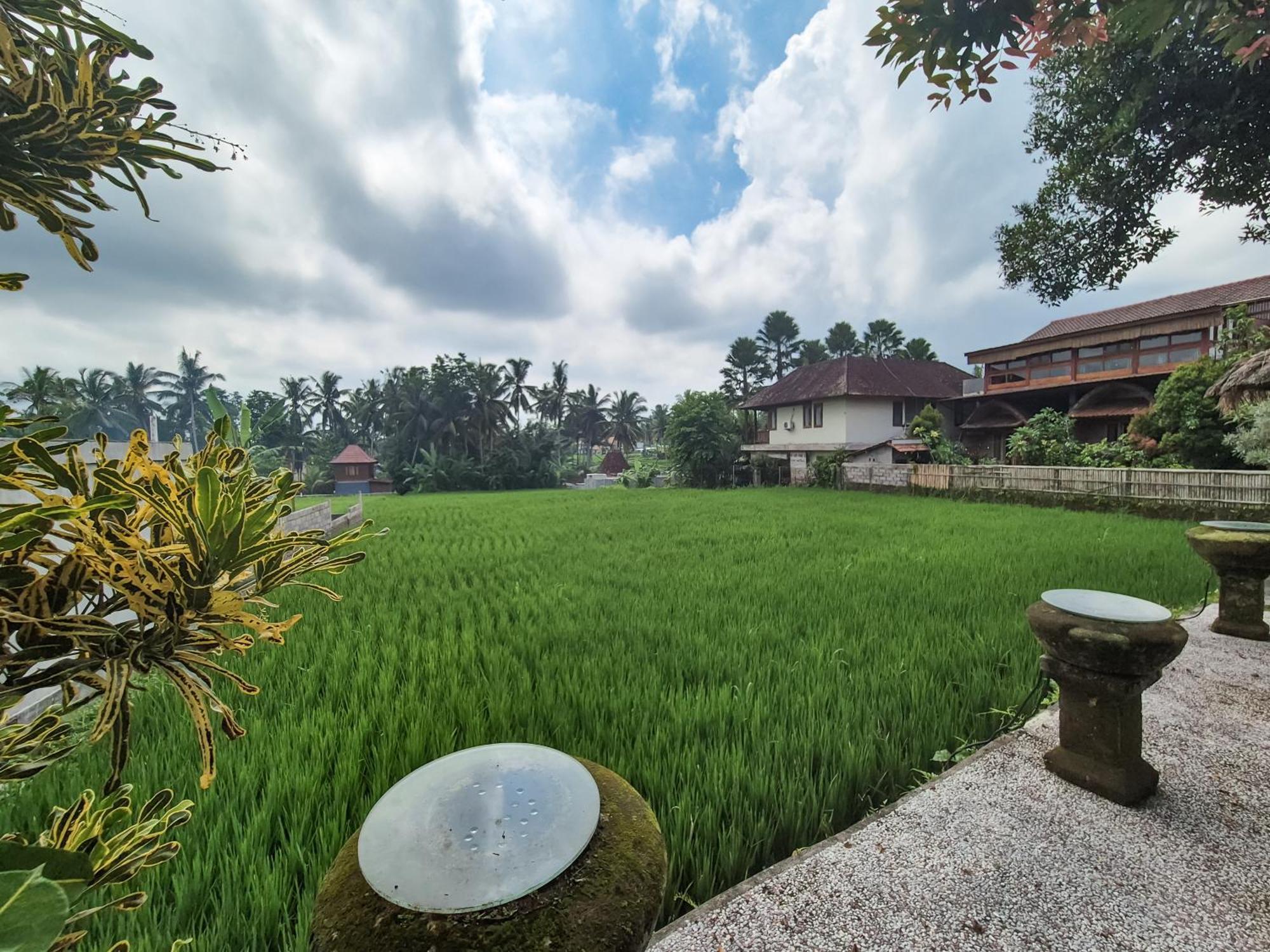 Villa Padi Menari Ubud Exterior foto